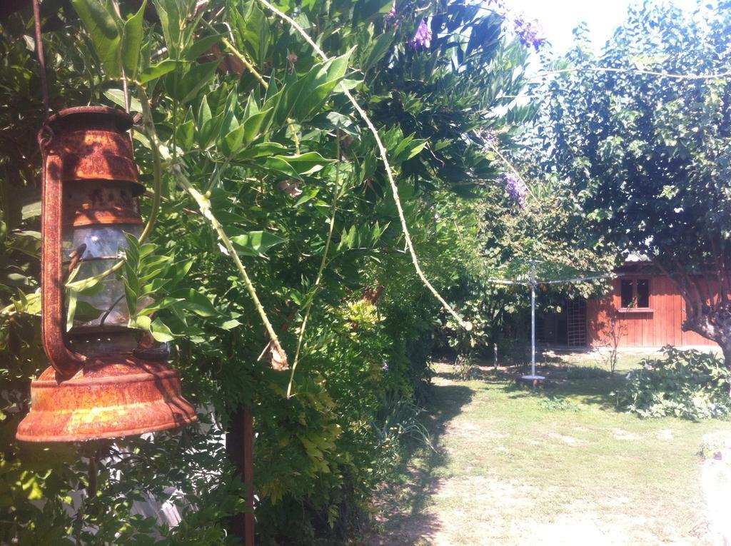 Santa Maria Apartment Donji Kovilj Exterior photo